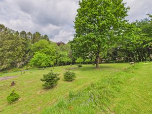 Meadow- click for photo gallery
